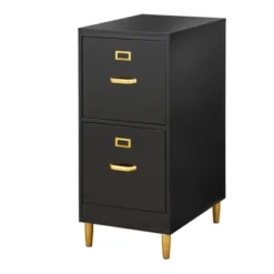 Dixie 2 Drawer Filing Cabinet - Buylateral 16 Dixie 2 Drawer Filing Cabinet - Buylateral -Buylateral Home Cheap Store GUEST a6c30278 e9d2 483a b366 845bb9afa6b5